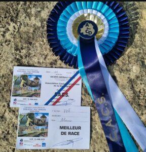 exposition périgeux