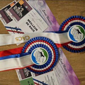 exposition saint macaire