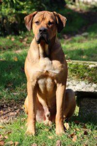 Valdes des terres de la Regula