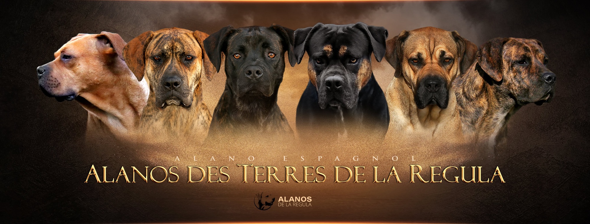 alanos espagnols
