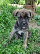 20220502_164221[3474]