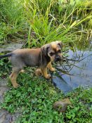 20220504_091203[3461]