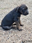 20220504_131251[3455]