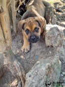 20220509_152821[3522]