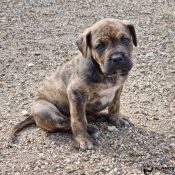 IMG_20220423_211741_597