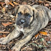 IMG_20240815_083424_663