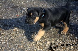 thumbnail_IMG_8550