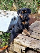 thumbnail_20221201_134633