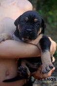 thumbnail_IMG_8499