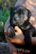 thumbnail_IMG_8522