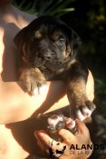 thumbnail_IMG_8527