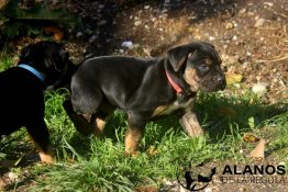thumbnail_IMG_8572
