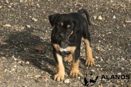 thumbnail_IMG_8732