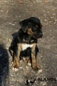 thumbnail_IMG_8768
